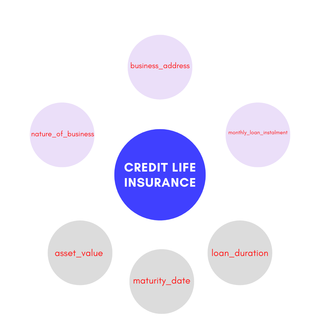 Credit Life Insurance